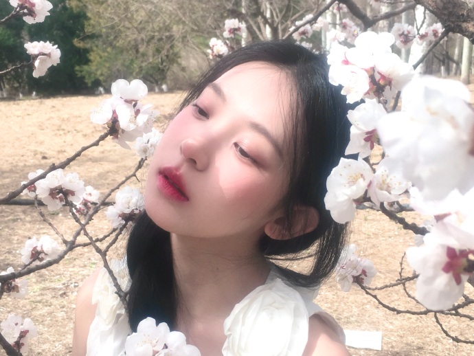 云襄传